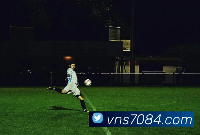 威尼斯人娱乐官网平台生态图